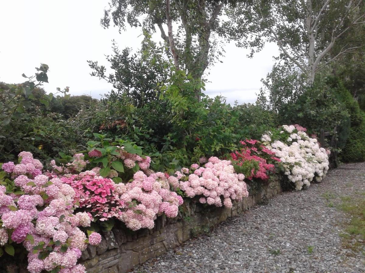 Devenish Lodge B&B Ballinrobe Exterior photo