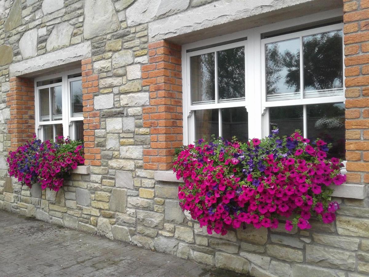 Devenish Lodge B&B Ballinrobe Exterior photo