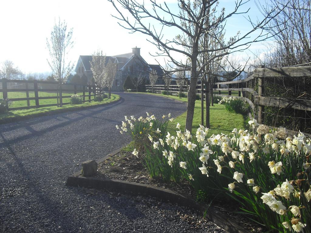 Devenish Lodge B&B Ballinrobe Exterior photo
