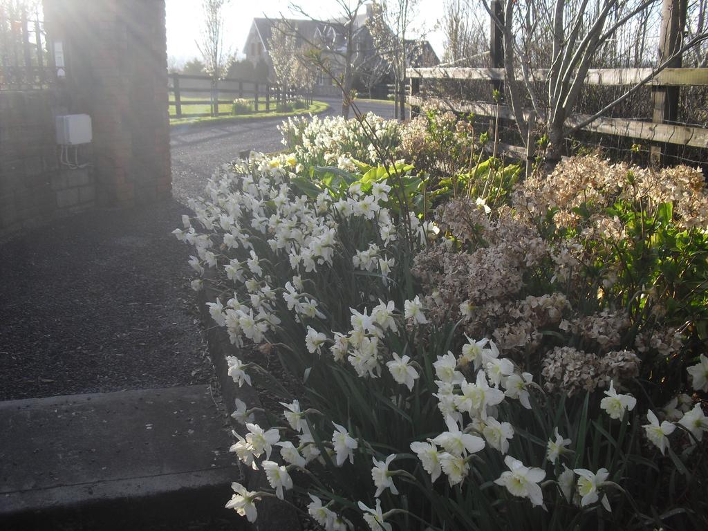 Devenish Lodge B&B Ballinrobe Exterior photo